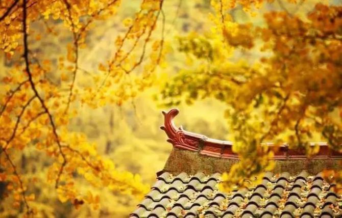 Σ���������ĳ�̬����Ҫ����Σ��