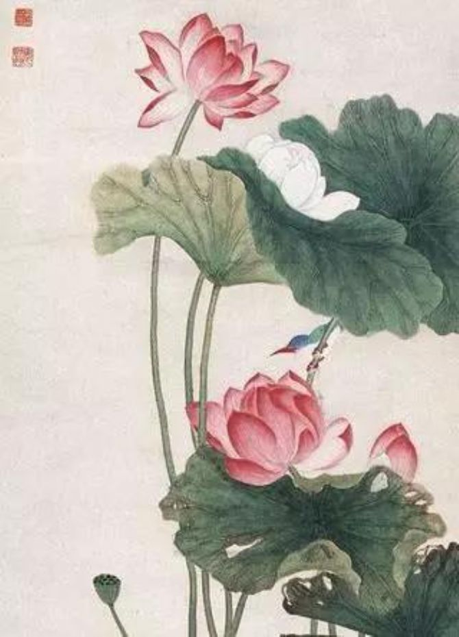 ȫ��������������������Ϊ����������