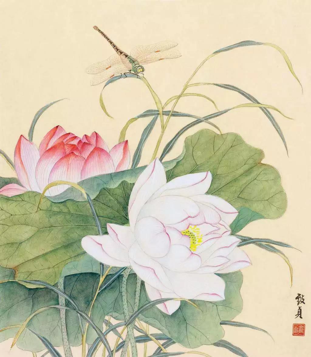 ȫ��������������������Ϊ����������