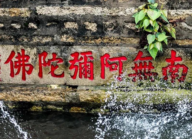 �����㣬ֻ��������ӵ��۹��У�