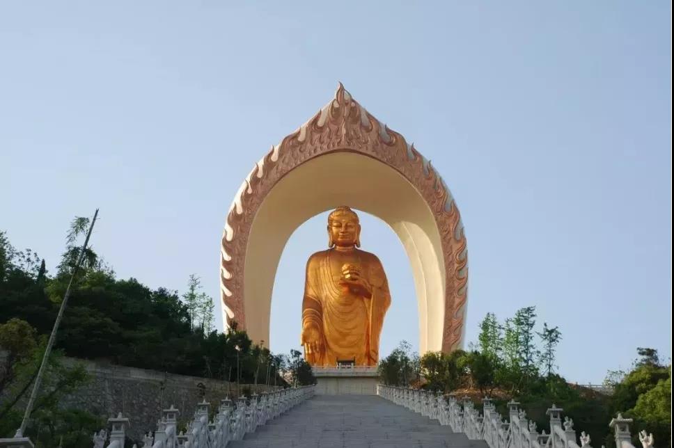 �����㣬ֻ��������ӵ��۹��У�