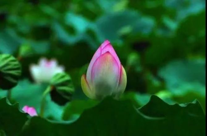 Ϊʲôһ����������;��û�����룿