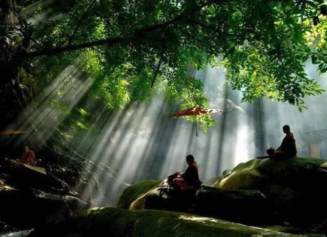 大家要分分秒秒观照当下的一念心啊! 大家要分分秒秒观照当下的一念心啊!