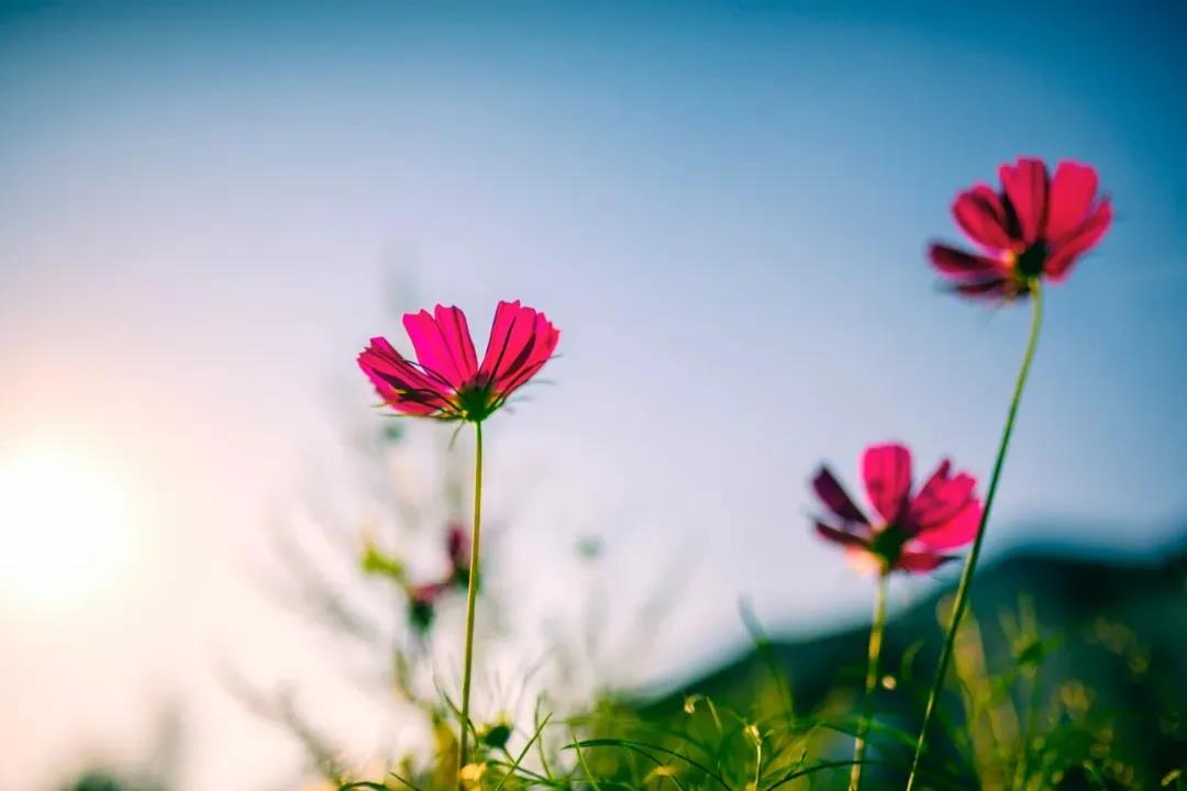 ע���Լ����ģ�ĪҪ�����Լ��ĸ�����