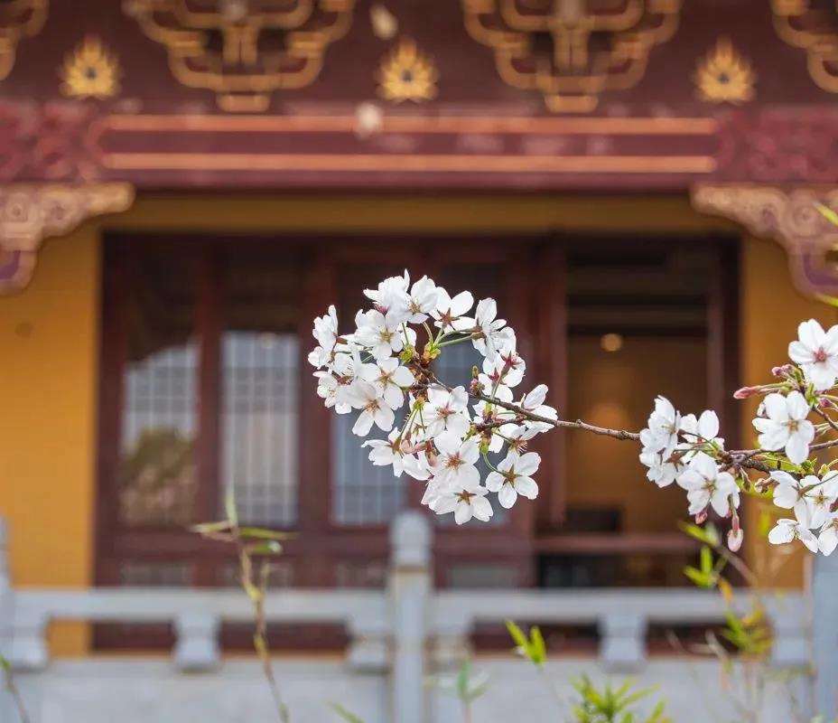 �����澳��ת�䣬ǡ���Ե±�Թʱ