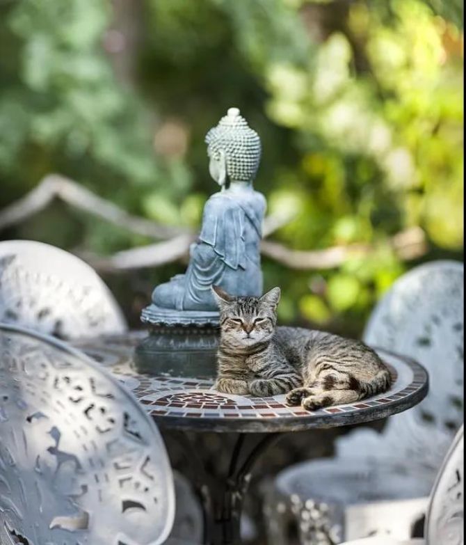 ��Щ������Ȧ�ľ��ӣ����治�Ƿ�˵�ģ�