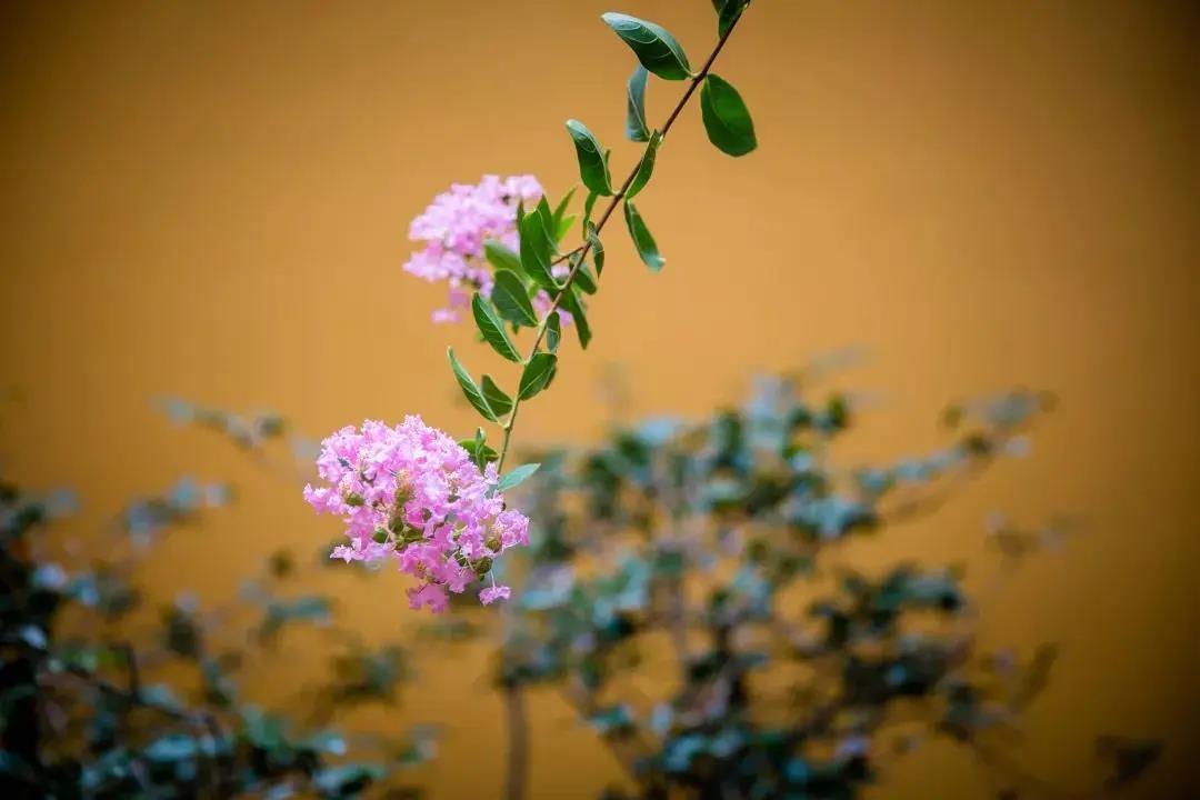 ��Щ������Ȧ�ľ��ӣ����治�Ƿ�˵�ģ�