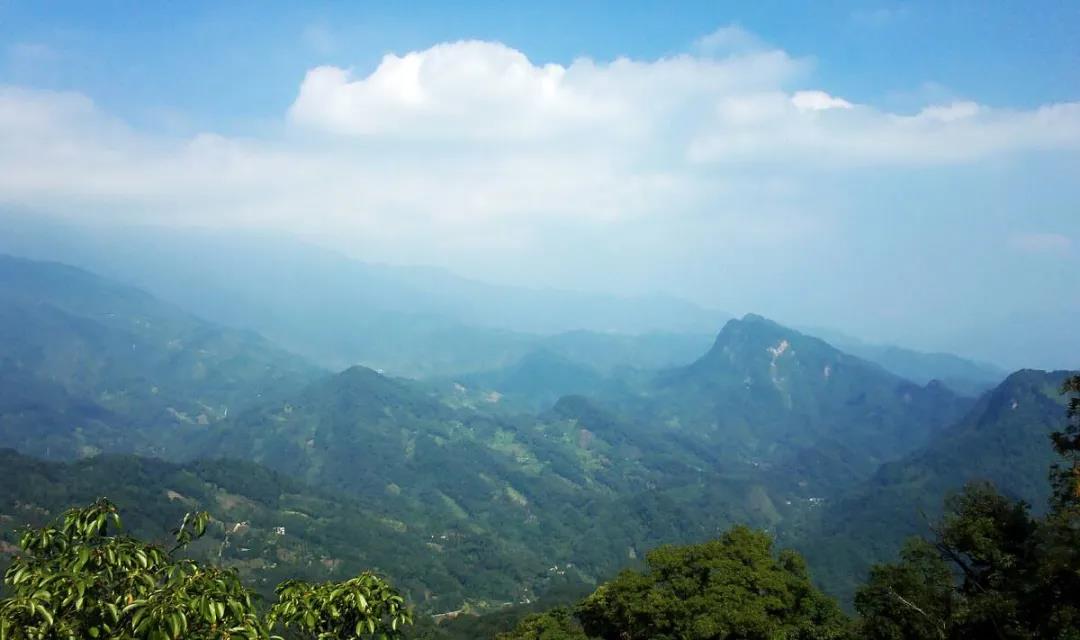 ��˵ʮ����Ե������������ת������ȥ����