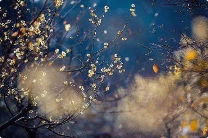 ��˵ʮ����Ե������������ת������ȥ����