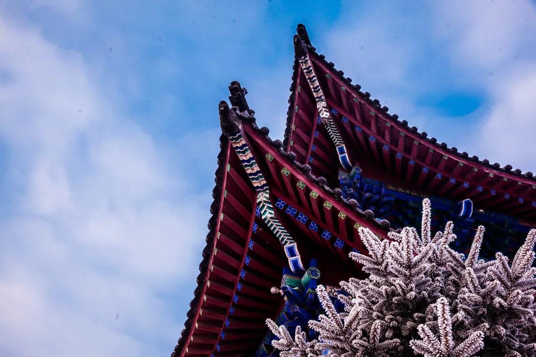 �����������ѧ��С���顱�����ٲ��գ�