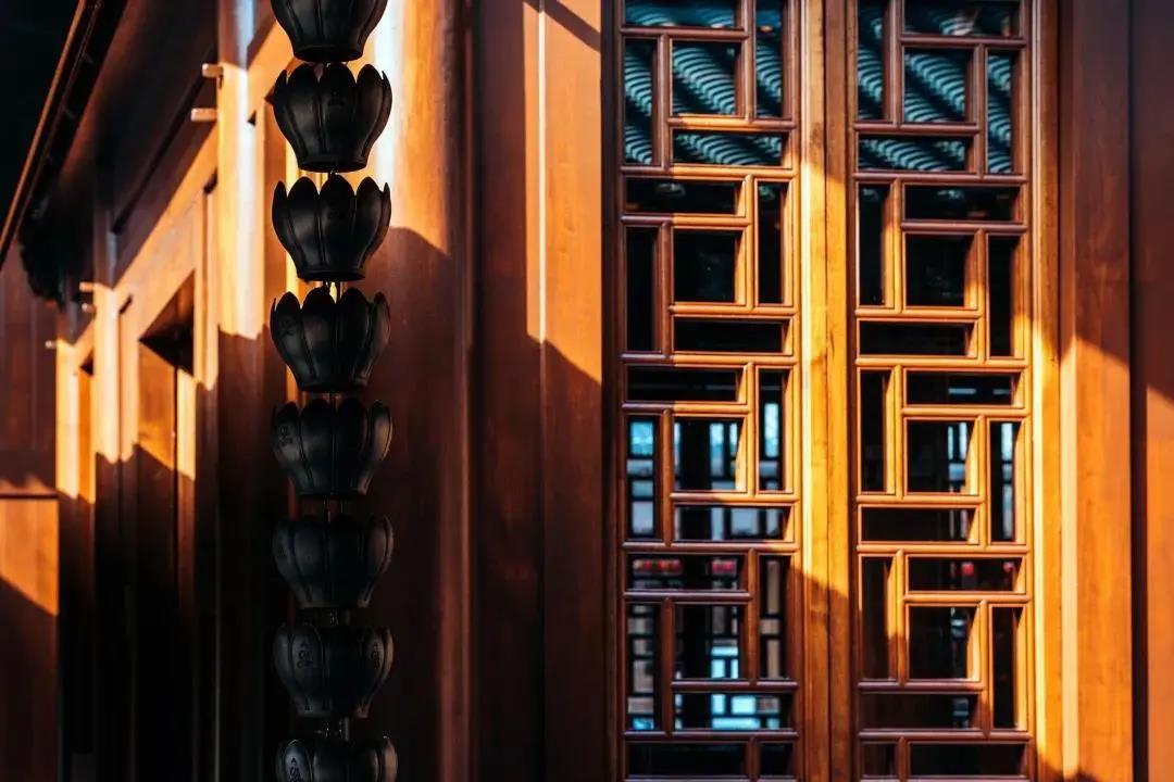 �����������ѧ��С���顱�����ٲ��գ�