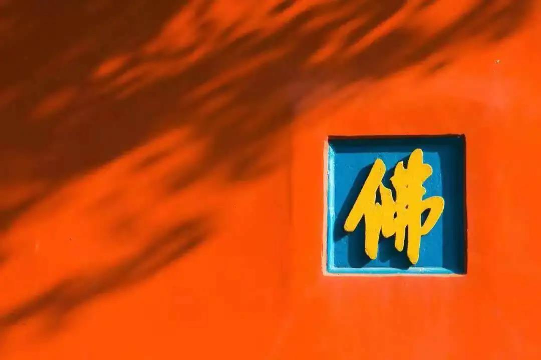 �����������ѧ��С���顱�����ٲ��գ�