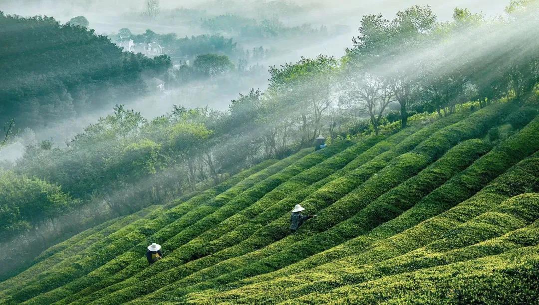 ���������ȥ��������ǵĺ����ǳ��Ĵ�