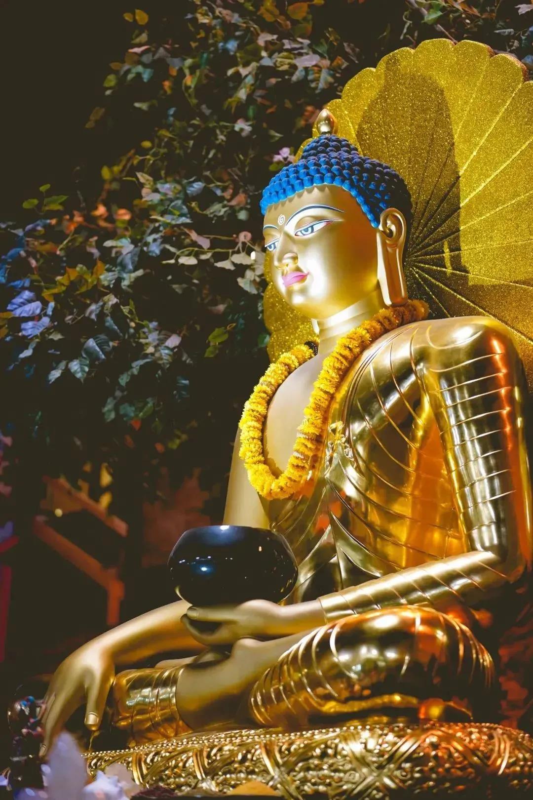 ѧ��ּ������ĸ������ɾ������