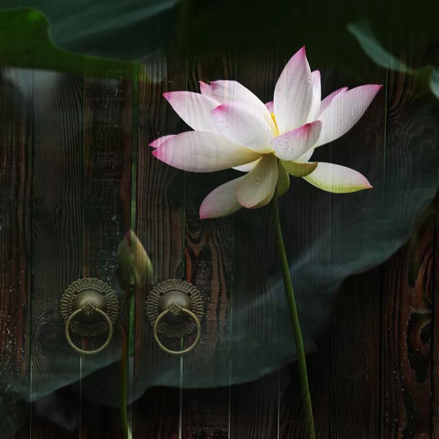 ���ֵ��������Ƿ���������֣�