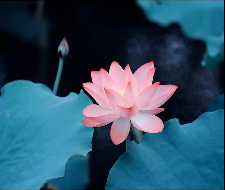 ������̬���ı��Ը񣬱���������ҵ����Ҫ