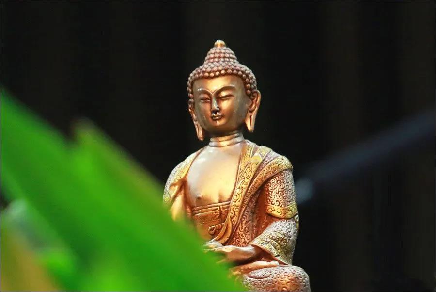 �ڼҾ�ʿ�мǣ����������ŷ���ƻ���ͥ���֣�