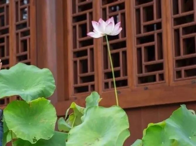 �ڼҾ�ʿ�мǣ����������ŷ���ƻ���ͥ���֣�