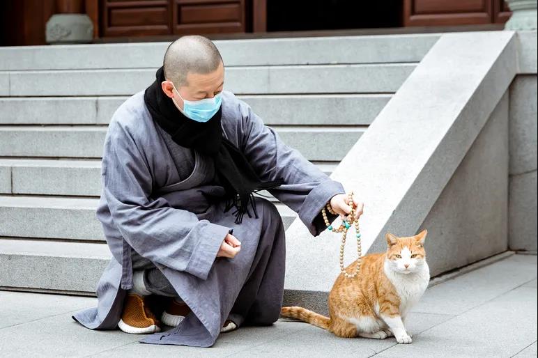 “杀生”的业报有多重?犯“不杀生”戒的后果是什么? “杀生”的业报有多重?犯“不杀生”戒的后果是什么?