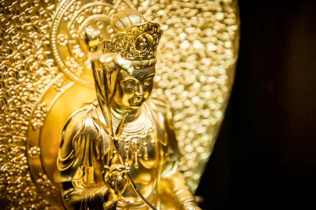 “杀生”的业报有多重?犯“不杀生”戒的后果是什么? “杀生”的业报有多重?犯“不杀生”戒的后果是什么?