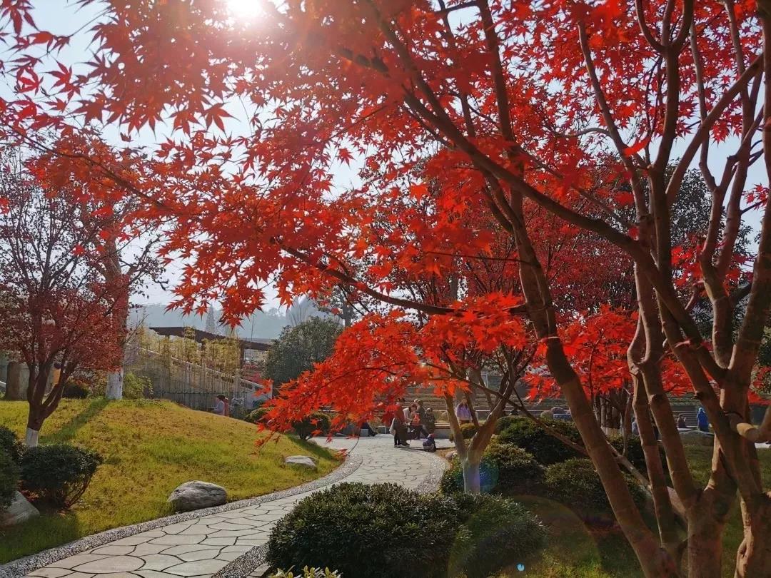 ��ʲô��̬ȥ�����Ǻ���Ҫ��