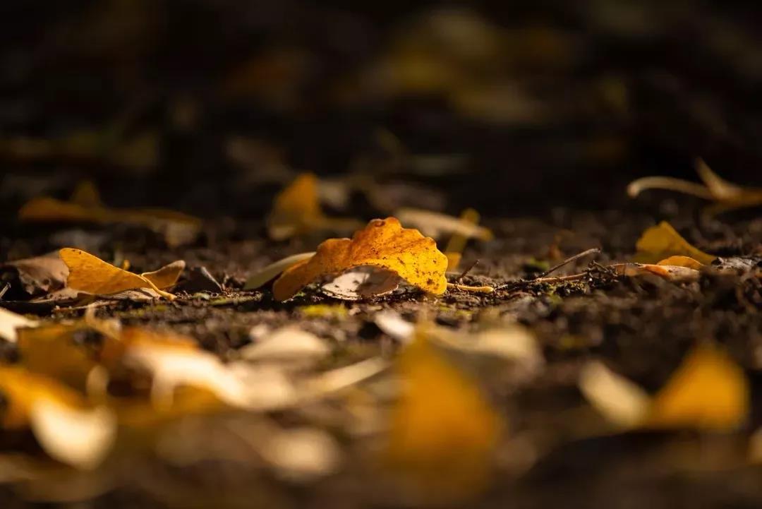 ��ʲô��̬ȥ�����Ǻ���Ҫ��