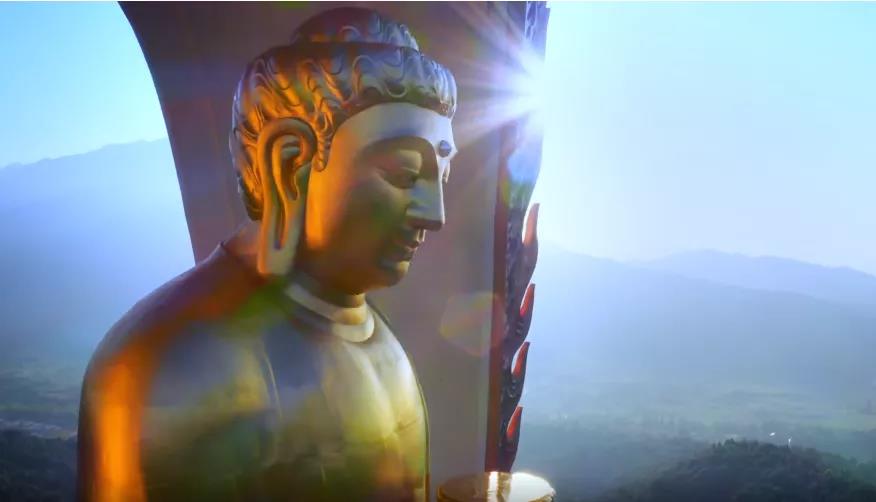 “净土四信”是每个净业行人的必修课 “净土四信”是每个净业行人的必修课