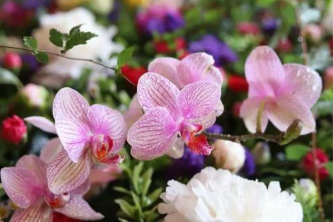 ����ë������������ģ�Ҫ���������˼ά