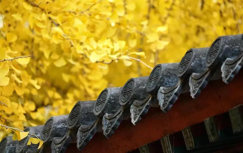 �ȱ����ˣ��ǻ����£���ѧ���ԭ��