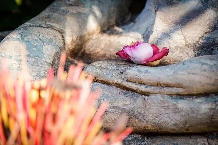 ѧ��Ҫ����������С�¿�ʼ