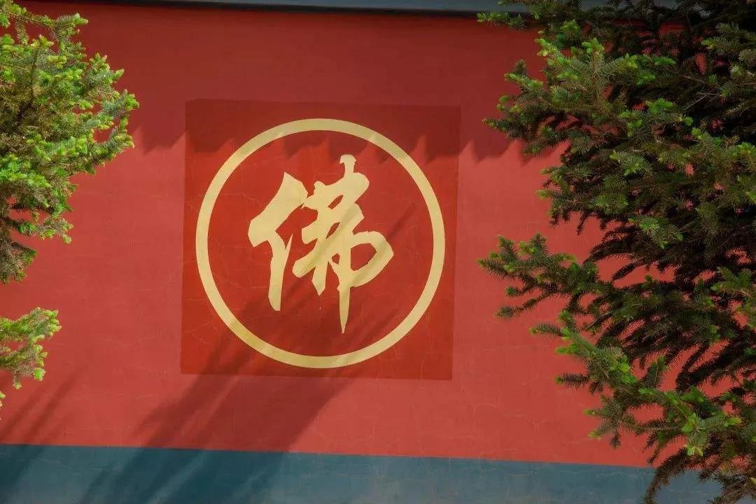 真心求净土者,勿忧临终之退悔也 真心求净土者,勿忧临终之退悔也