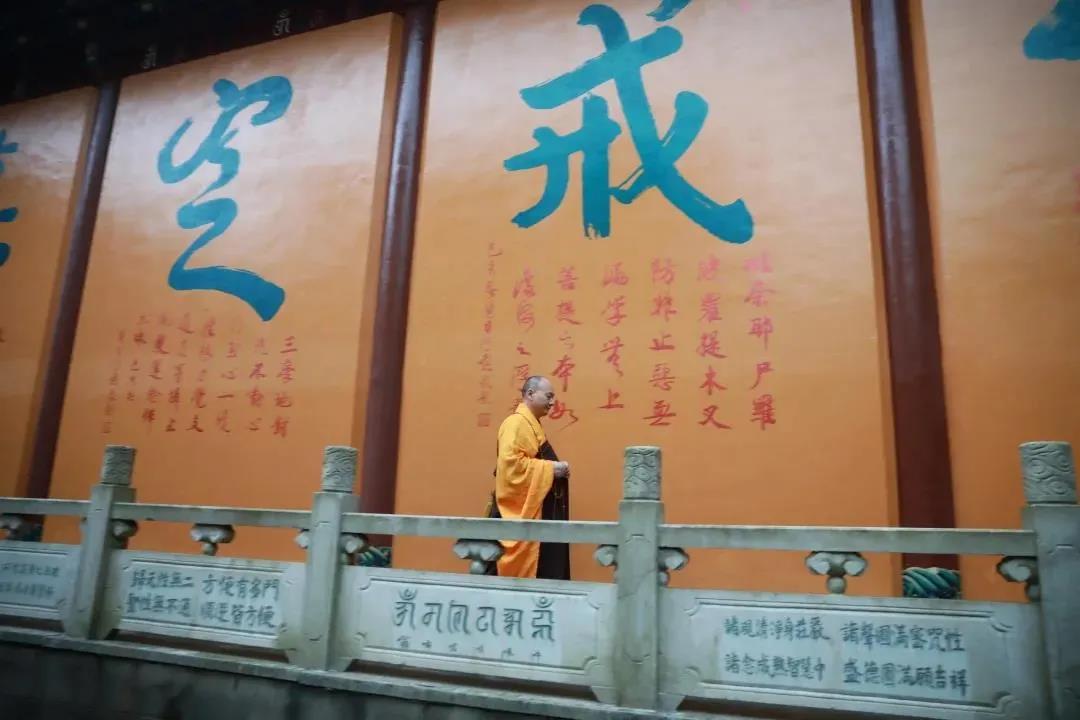 ���߾�ʾ����������ͷһ���������˺ô�ĸ�������