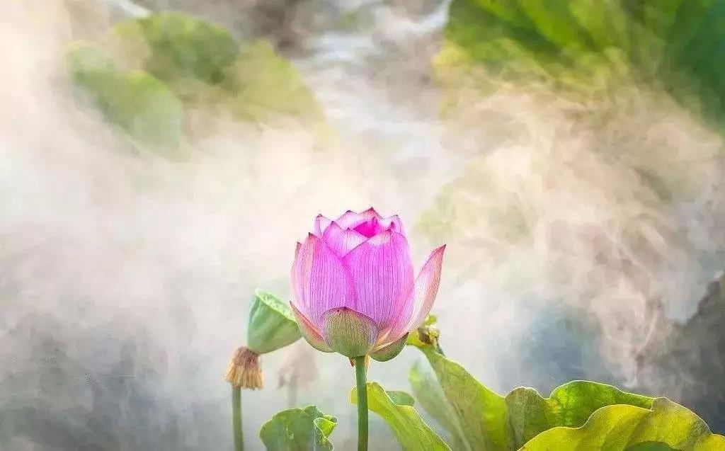 ��ˮ�����鲻�飿���Ʒ�ʦ����Ѱ�������Ѩ��