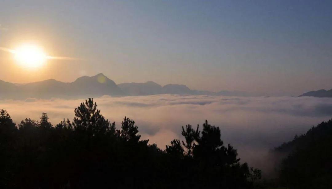 ���ڹ���������ۿ�