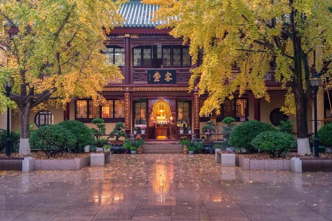 为何专说极乐世界?因为这个法门殊胜 为何专说极乐世界?因为这个法门殊胜