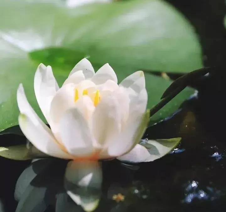 ������˷�̵�_"�Ĵ�Կ�"