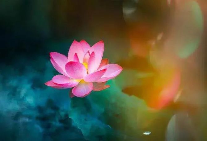 ������ȥ�������ʮ�����������ڸ�ʲô��