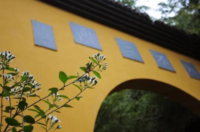 �������Ĵ��裬Ϊ������׼��