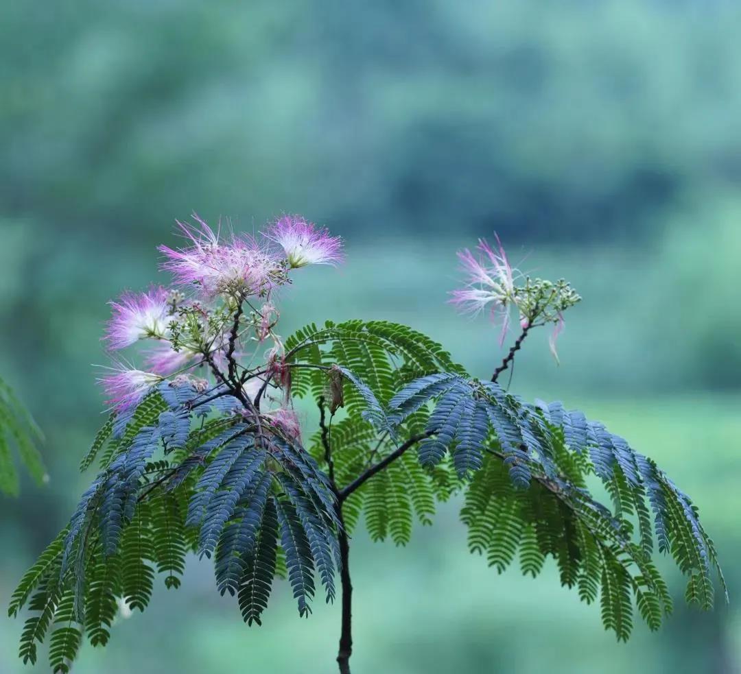 �������Ĵ��裬Ϊ������׼��