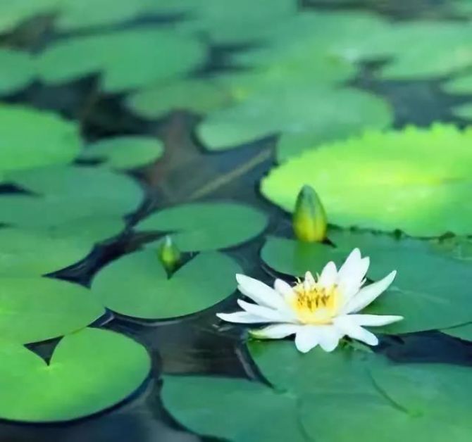 ��������������Լ�