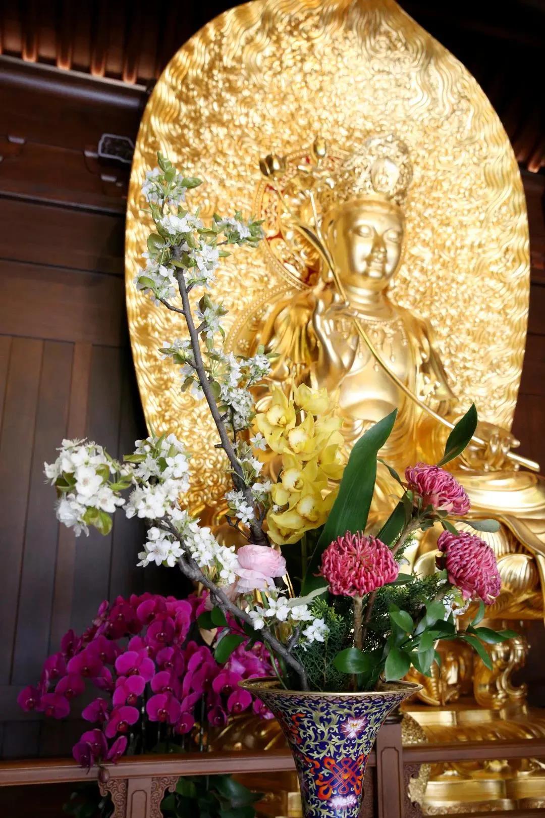 把佛法献给家人,让生活更美满! 把佛法献给家人,让生活更美满!