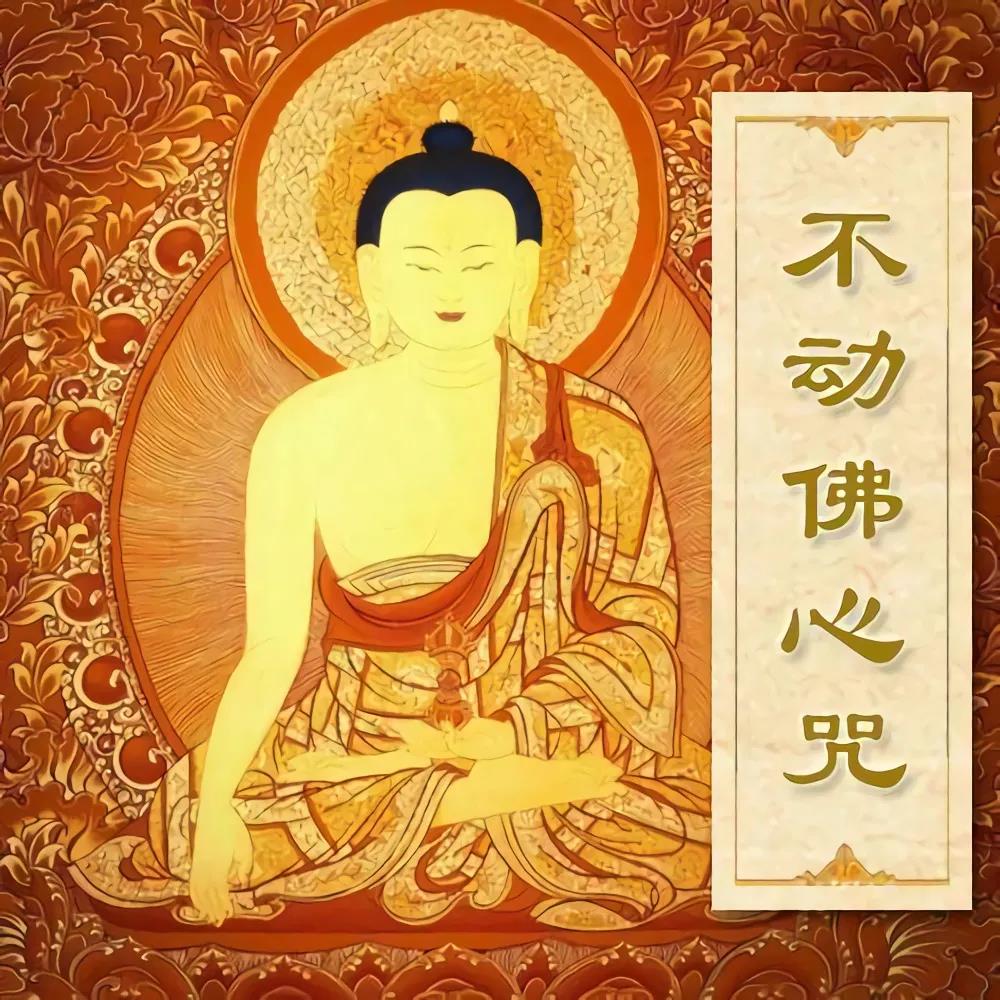 ����Բ�����_����_��������Ӧ���������Σ�