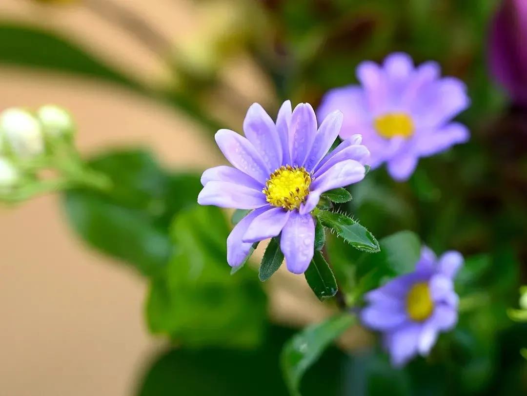 “_家庭和睦_”_是最实在的修行 “_家庭和睦_”_是最实在的修行