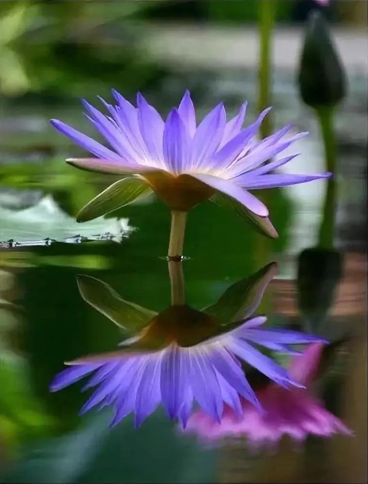 �����������࣬û��һ���������㲻�䣡