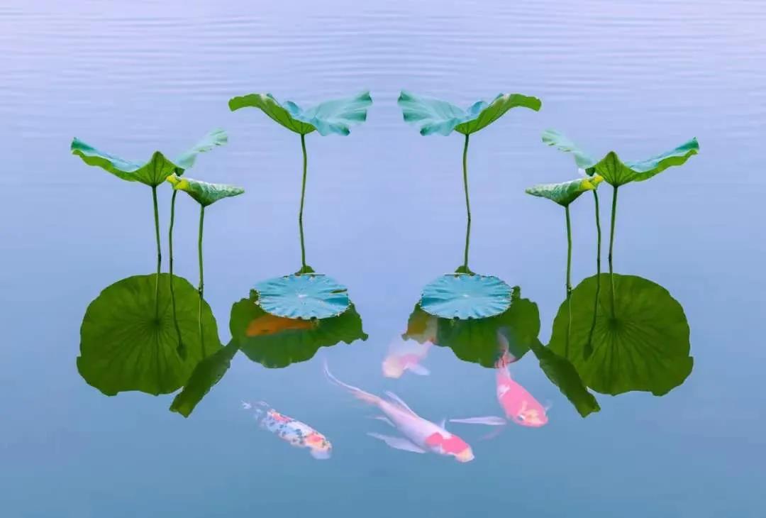 ��һ��Ҫ����������Խ��Խ��