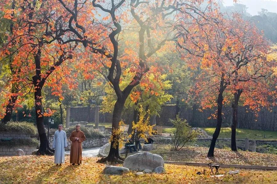 һ����һ��𣬶����ɾ�����