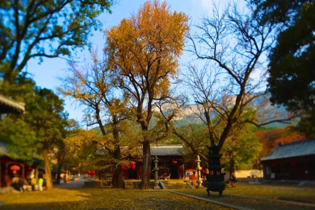 һ����һ��𣬶����ɾ�����