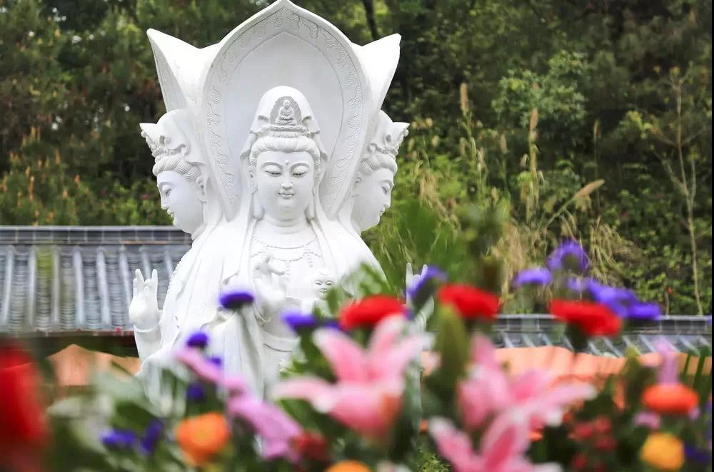 我们经常回向“四重恩”,但是你真的懂得四重恩的含义吗? 我们经常回向“四重恩”,但是你真的懂得四重恩的含义吗?