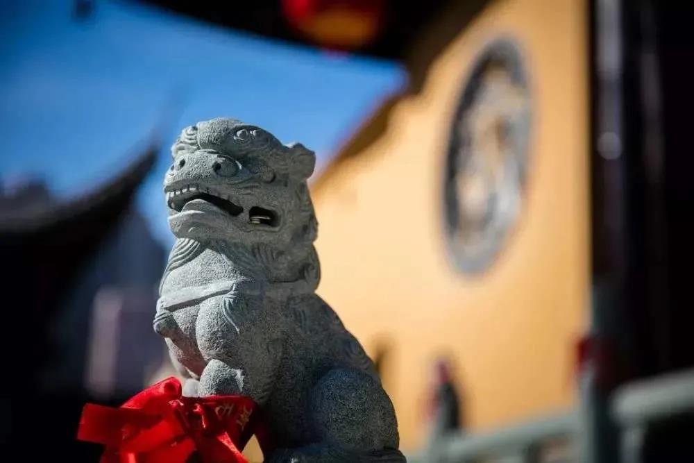 ���ž����������������ص�