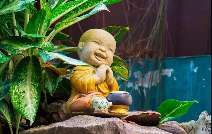 Ī�ѷ��ѵ����ѣ�Ҫ������һ��������